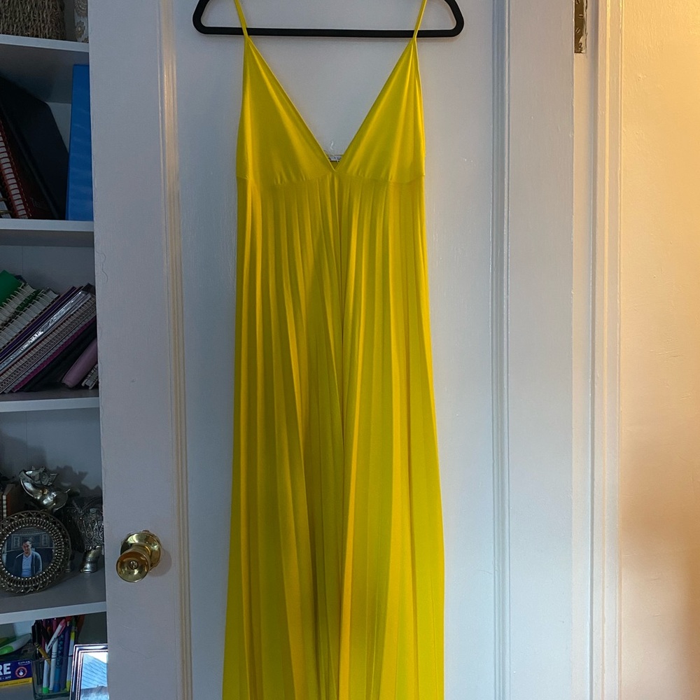 Zara Pleated Midi Dress